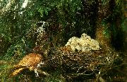 bruno liljefors tornfalk vid boet med ungar oil on canvas